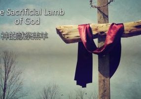 20250418 - Good Friday - The Sacrificial Lamb of God (AV Team)w Chn