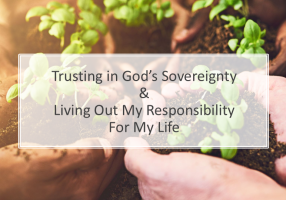 's Sovereignty and My Responsibility (AV Team)