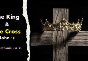 The King & The Cross